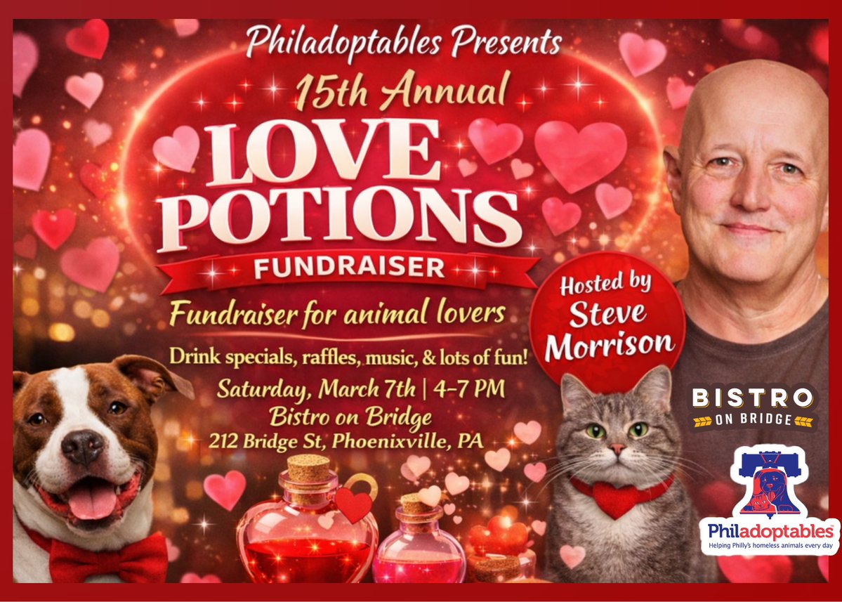 Steve Morrison tweet media