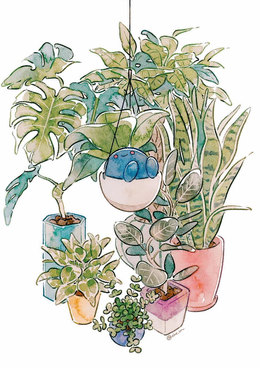 おはるちゃん (@ohr_cn) on Twitter photo 