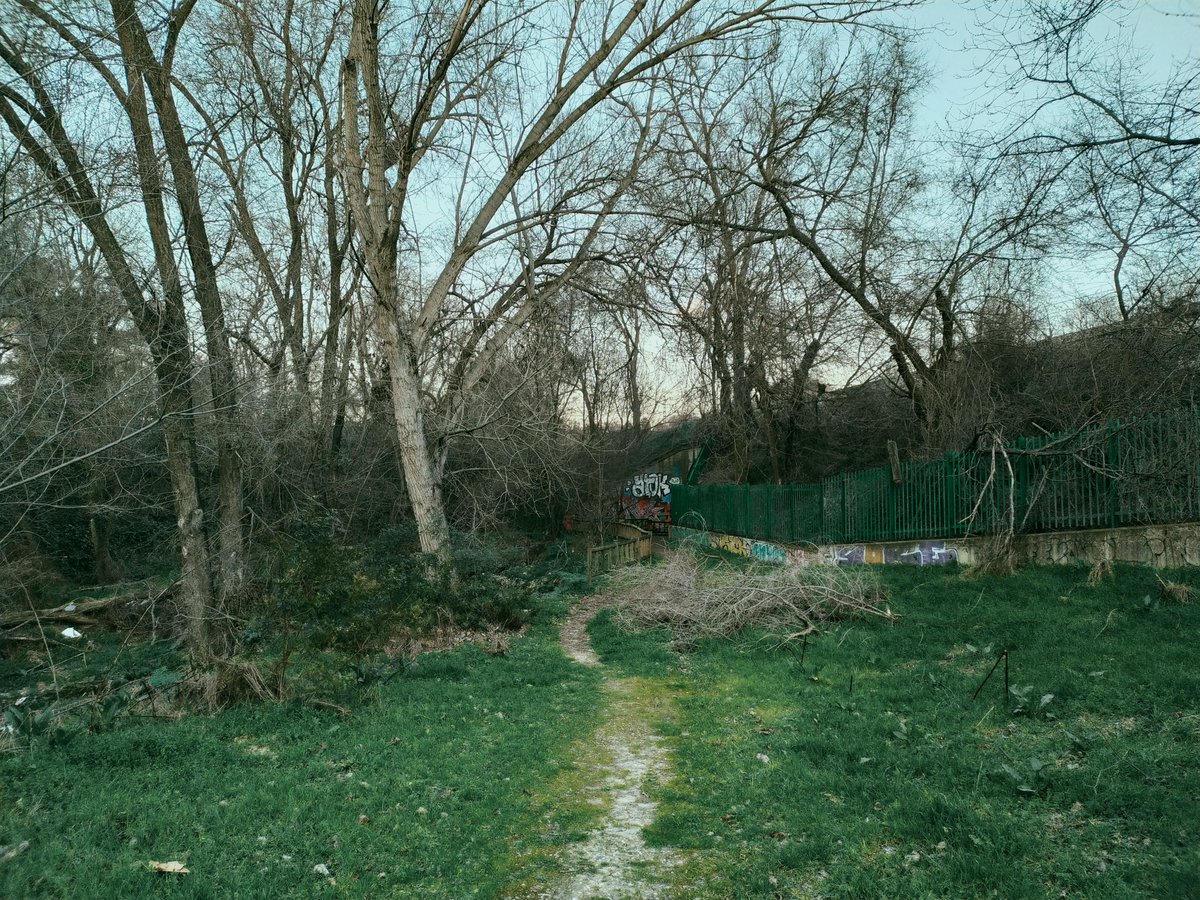 Alejandra tweet media