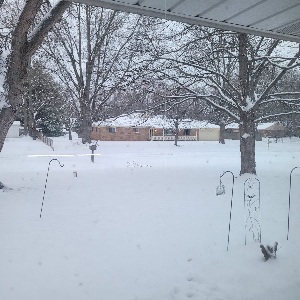 RicksRambles tweet media