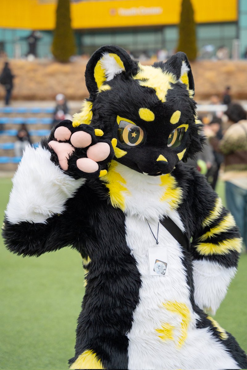 시노/Shino tweet media