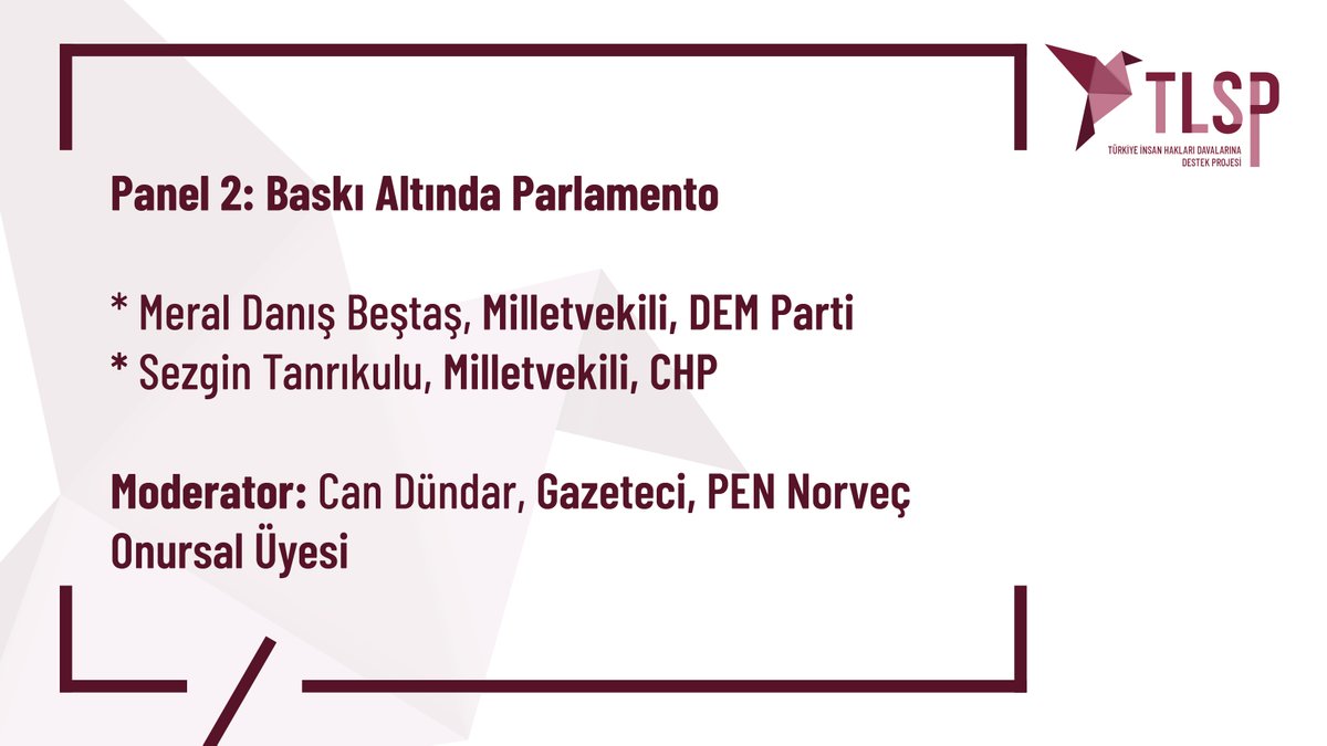 Turkey Litigation Support Project tweet media