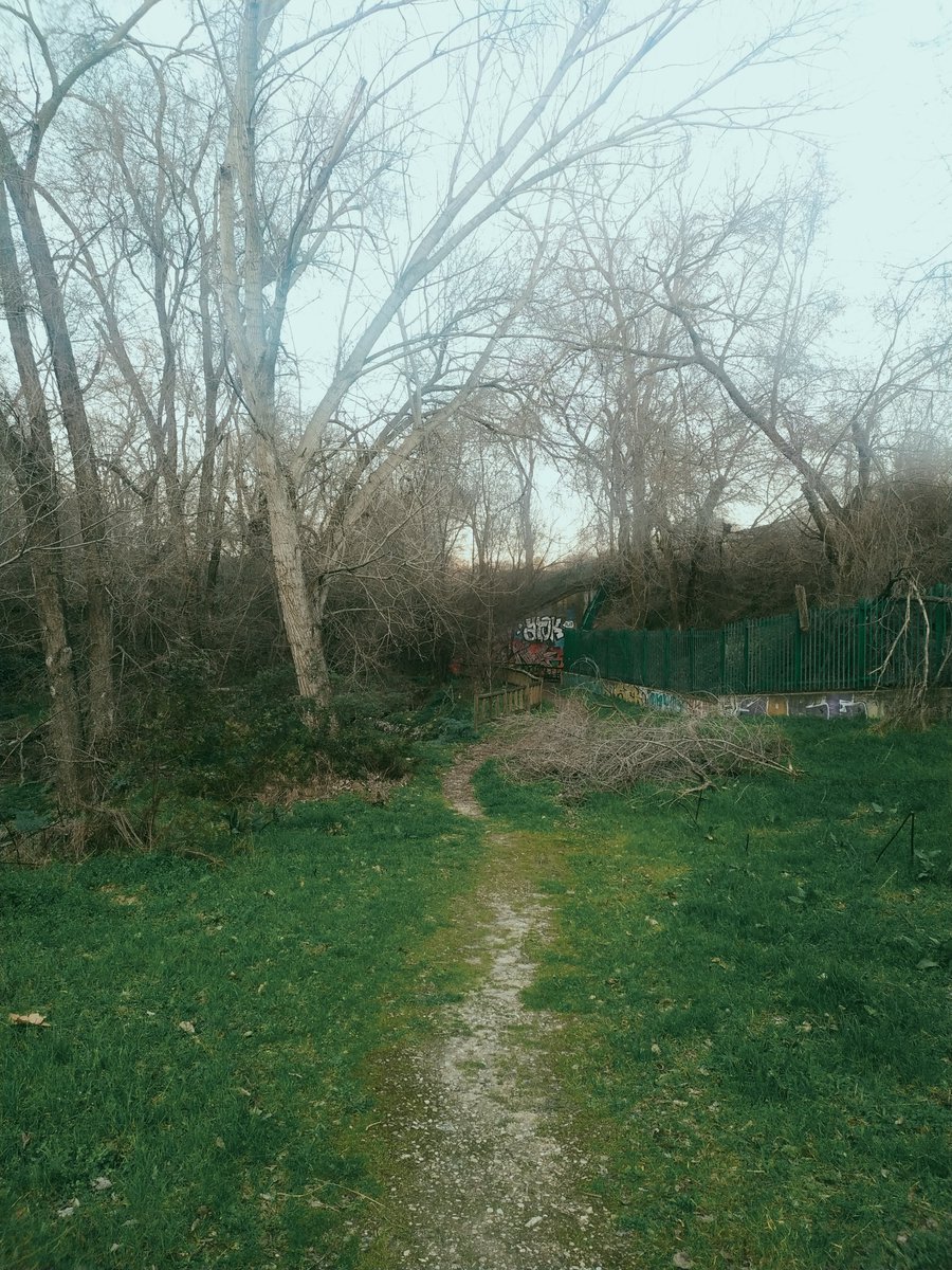 Alejandra tweet media