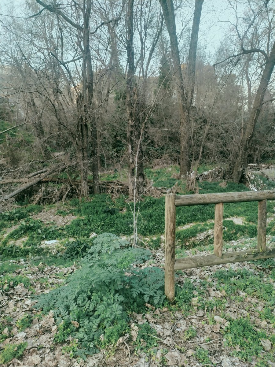 Alejandra tweet media