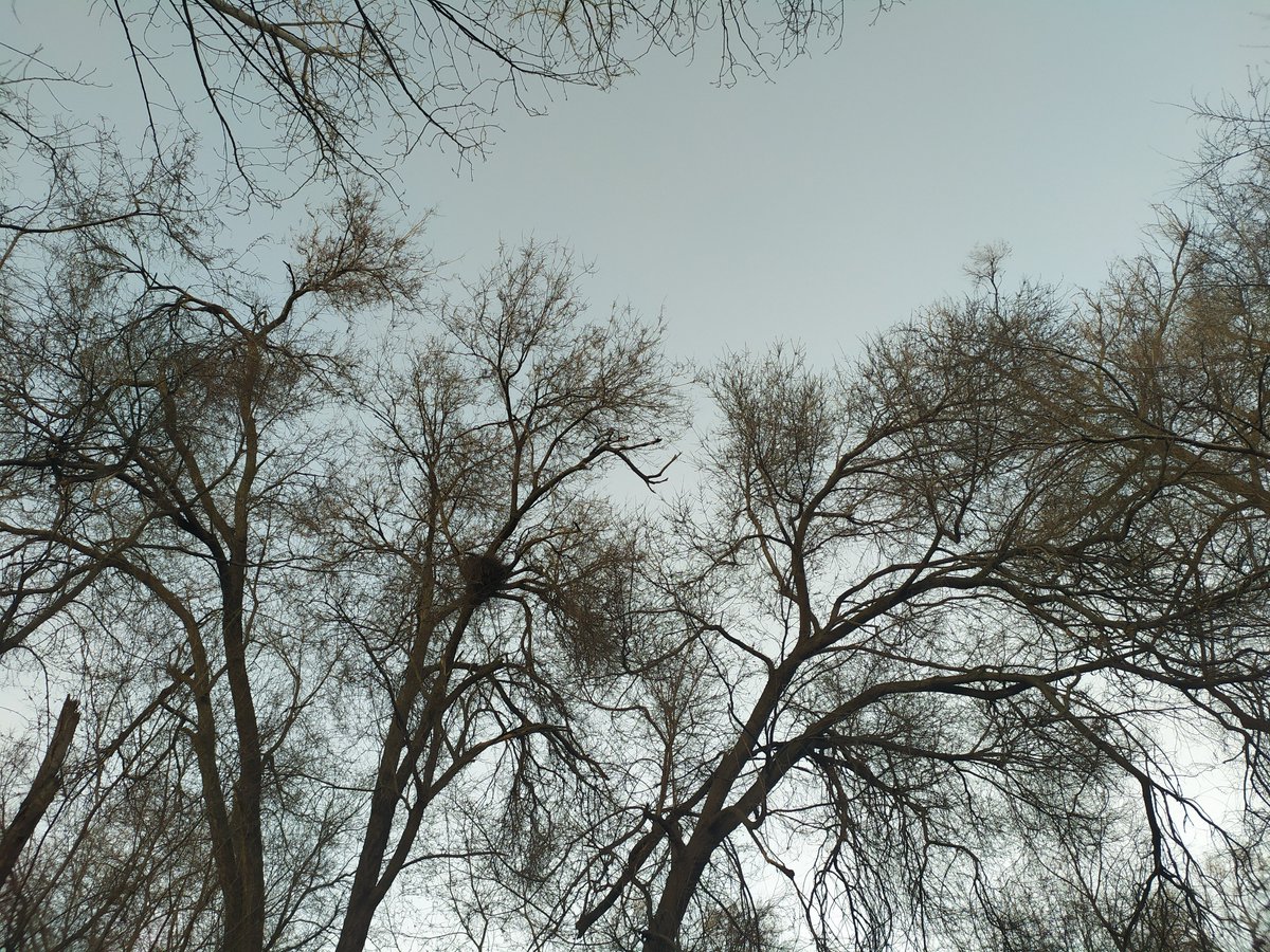 Alejandra tweet media