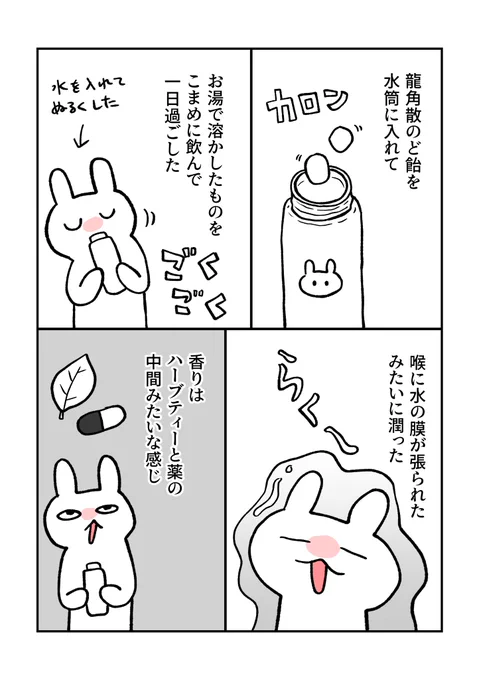 龍角散のど飴水(すい)を飲んだ

#グレうさぎ日記チャレンジ   1188日目 