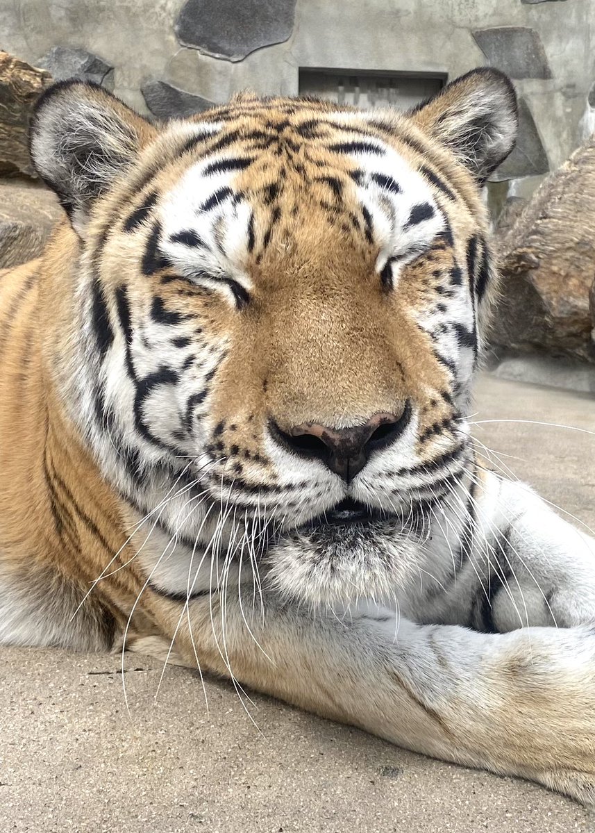 pearl pearl (@pearlpe70243943) / Posts / X