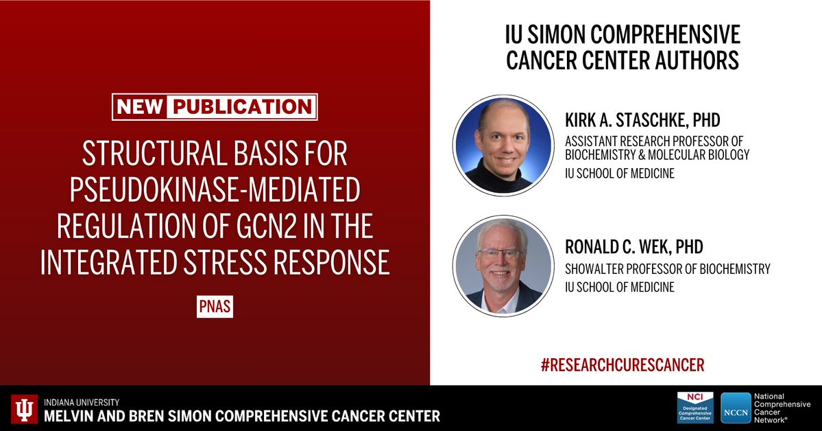 IUCancerCenter's tweet image. The cancer center’s Kirk A. Staschke, PhD, and Ronald C. Wek, PhD, were among the researchers to publish a new article in PNAS. Learn more: ow.ly/xQMl50Y8Yxn. #ResearchCuresCancer #NCIcomprehensive