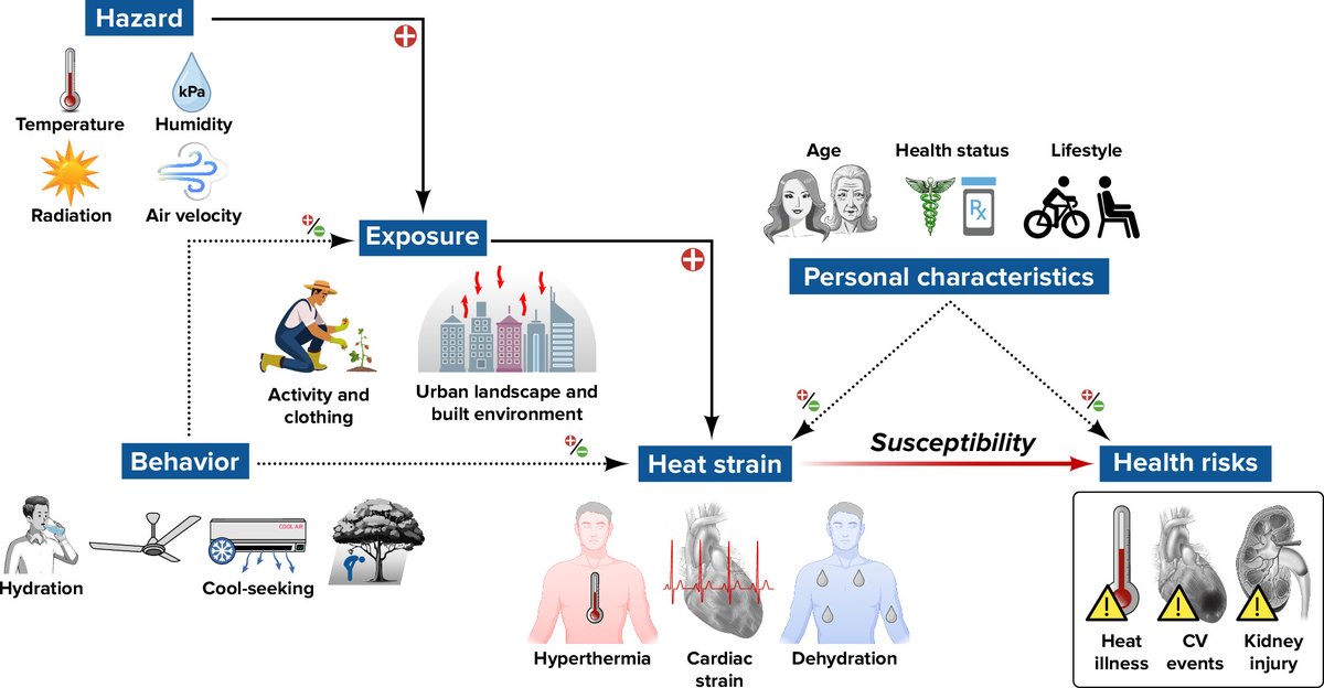 Physiology (APS Journal) tweet media
