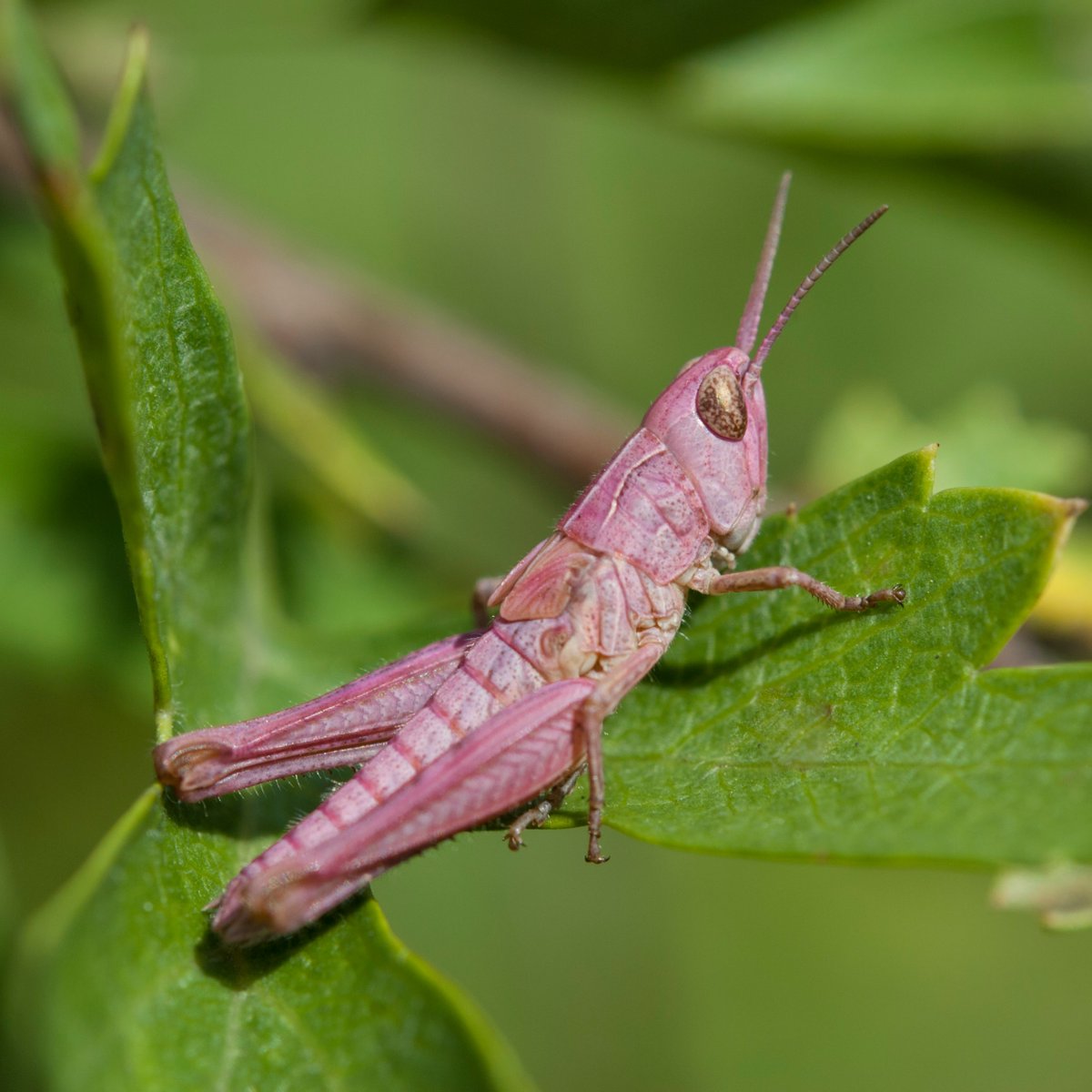 Science Channel tweet media