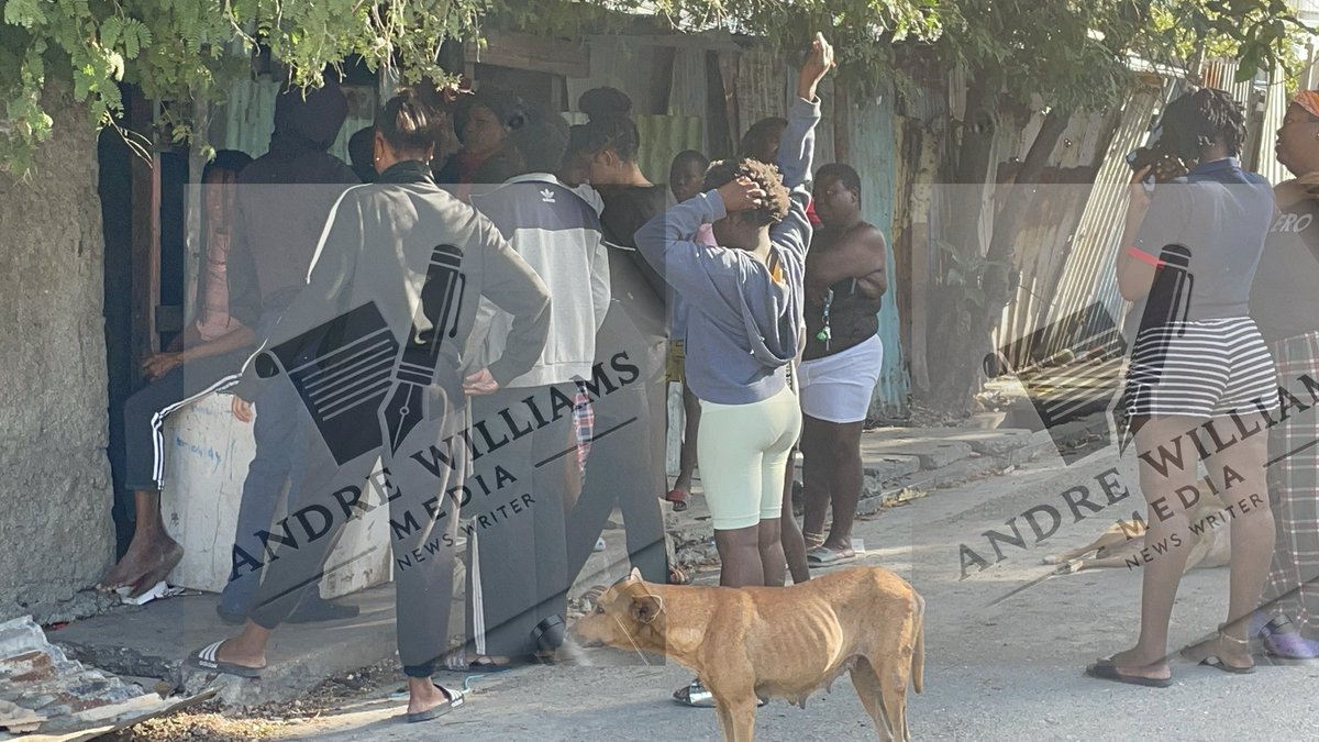 Raggahmufinzent's tweet image. #JAMAICA: Some 60 ppl were killed violently in #FEBRUARY 13 of which occurred last week Feb 22-28. The month of #January recorded 33. This was perhaps deadliest #month in a while. Each wk saw double digits in homicide with 18➡️19➡️10➡️13. Only 2 of 19 divisions are w/o a murder…