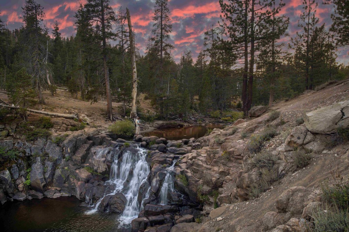 Theodore Roosevelt Presidential Library tweet media