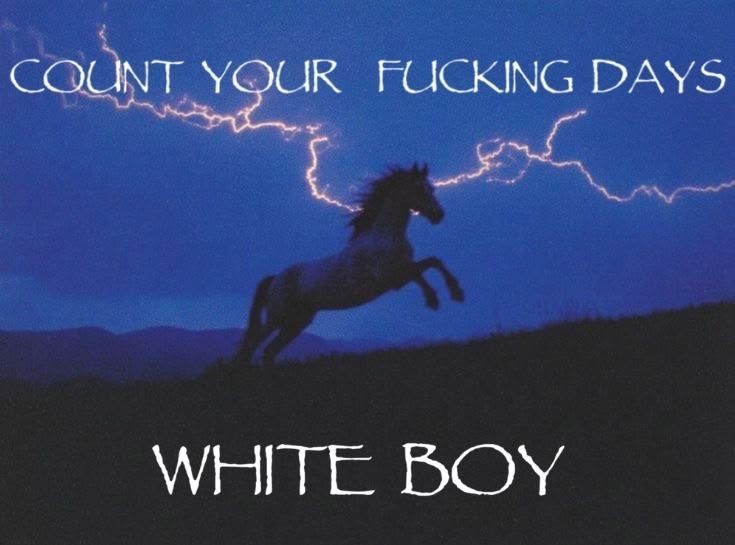 horse dentist tweet media