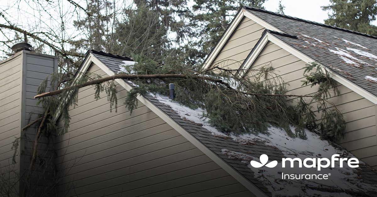 Mapfre Insurance tweet media