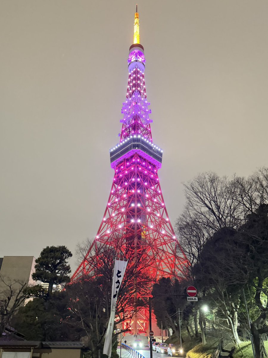 糖糖 tweet media