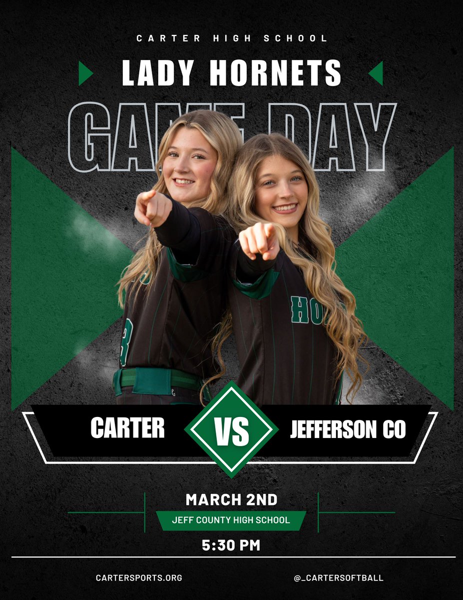 Carter Lady Hornet Softball tweet media