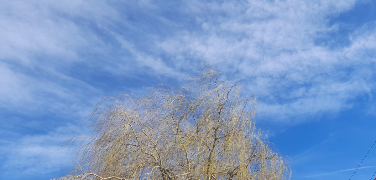 Simon Roberts tweet media