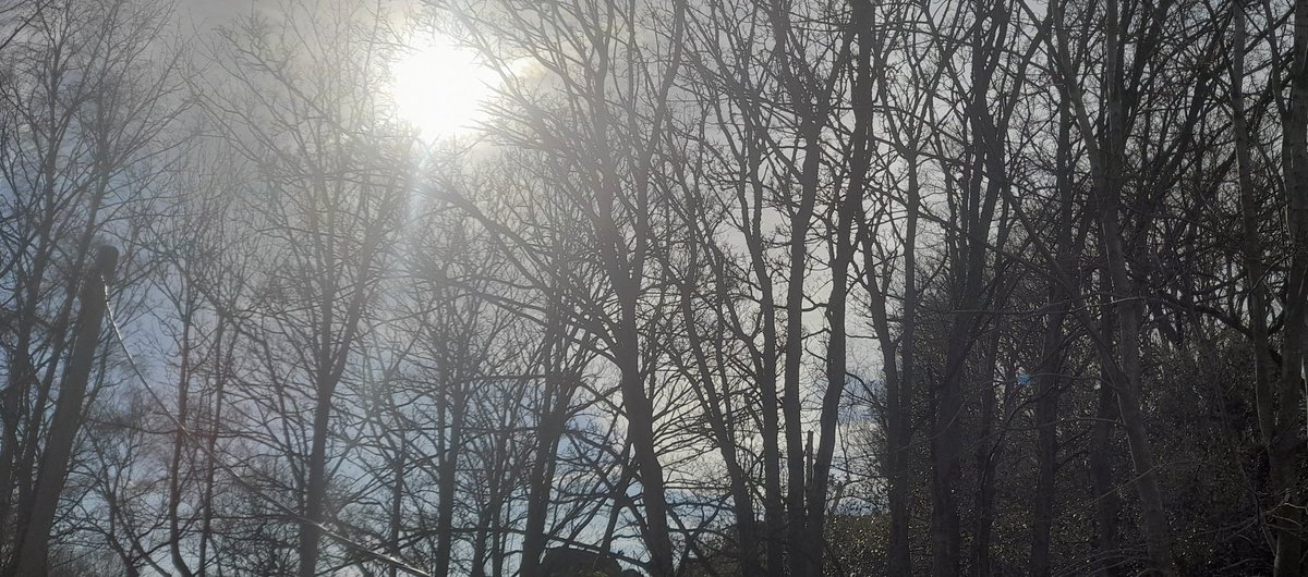 Simon Roberts tweet media