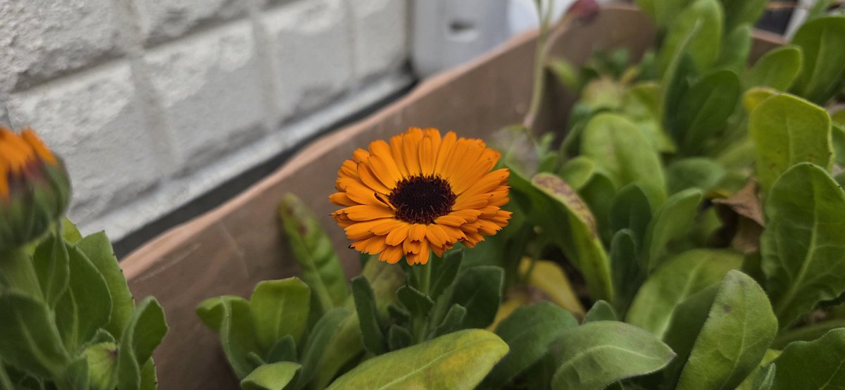 ローザページです♥️