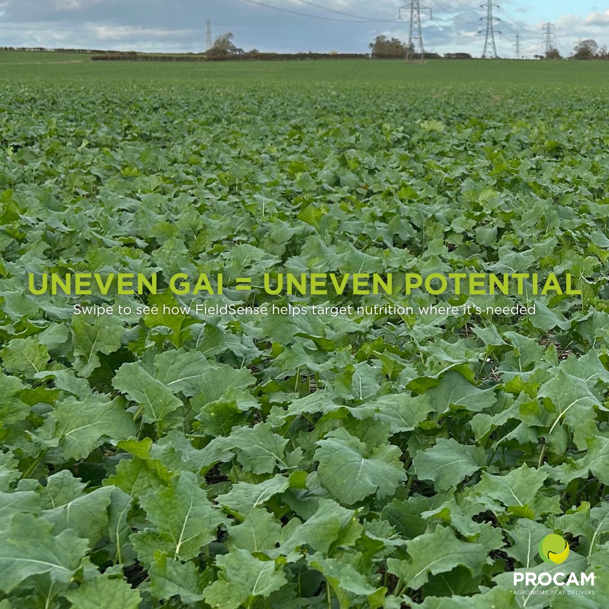 ProCam UK tweet media