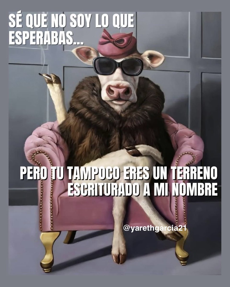 YarethGarcia21's tweet photo. Exacto… 🤭🤣 https://t.co/Jf6ENLd2HQ