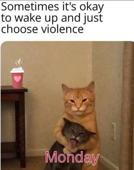 Julssszz1's tweet image. Good Morning  Friends! We can do this!🤣☕😁☕
#MondayMotivaton