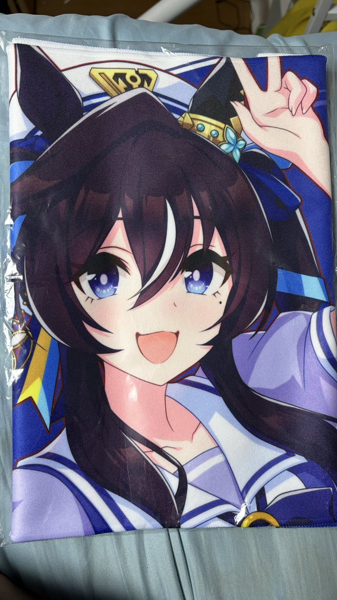 ということで、ヴィブロスの応援タオルをブックオフで購入！ 2860円