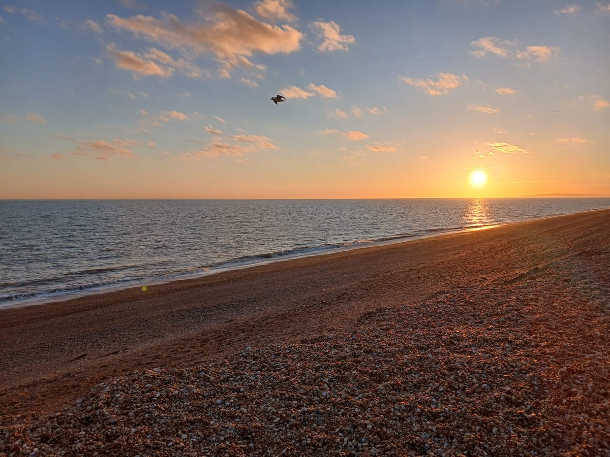 Jacob Spinks tweet media