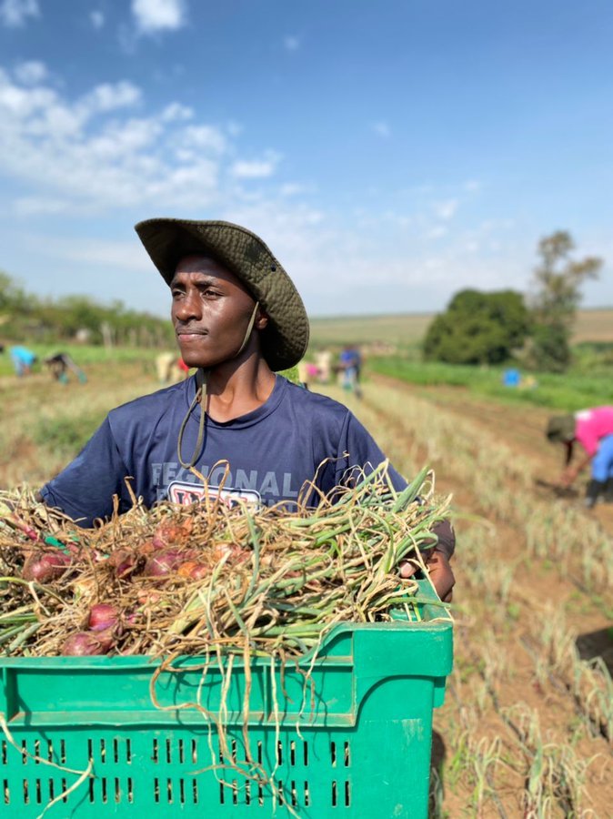 Pacifique DUSABIMANA👨‍🌾 tweet media