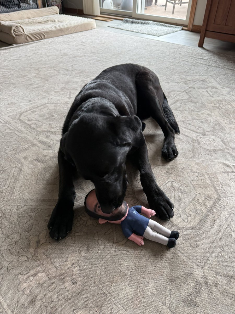 JoeyDueber's tweet photo. My dog hates anything than tennis balls but she loves @hen_ease @BarstoolBigCat @PardonMyTake https://t.co/PPVdx6TWrc