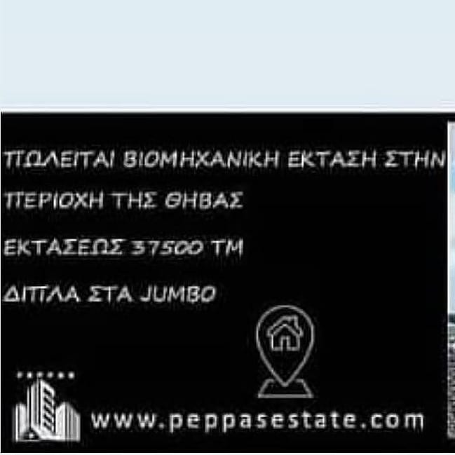 peppas estate tweet media