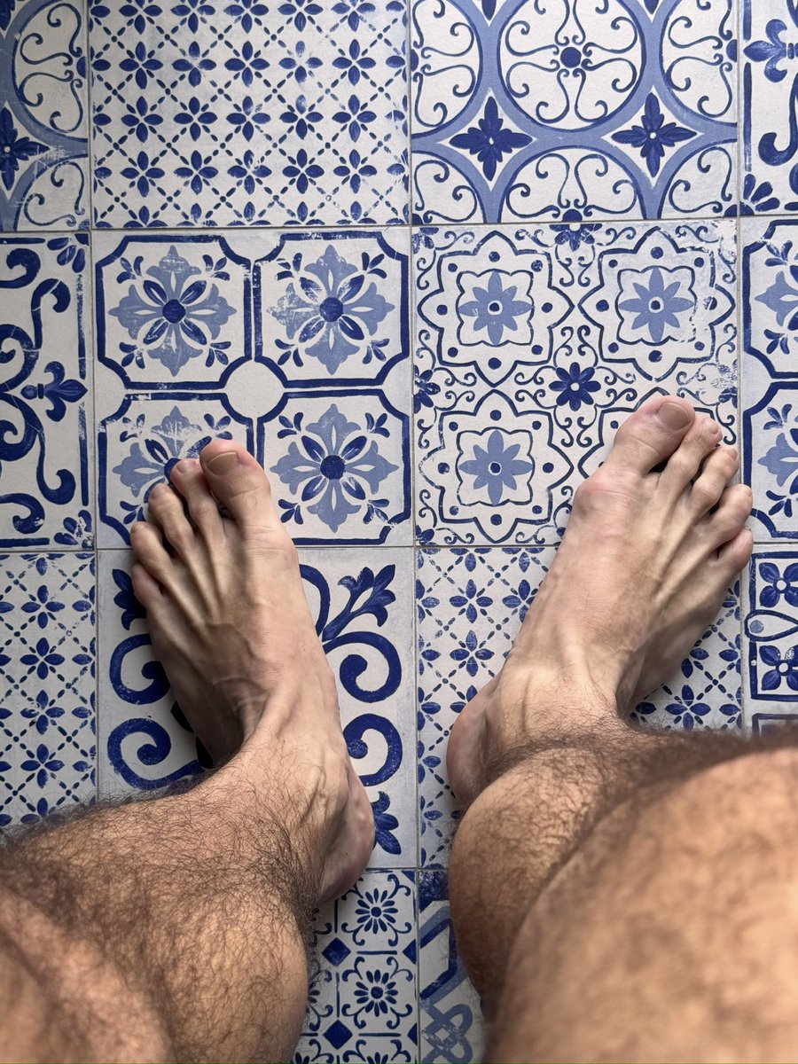 L A U R O tweet media