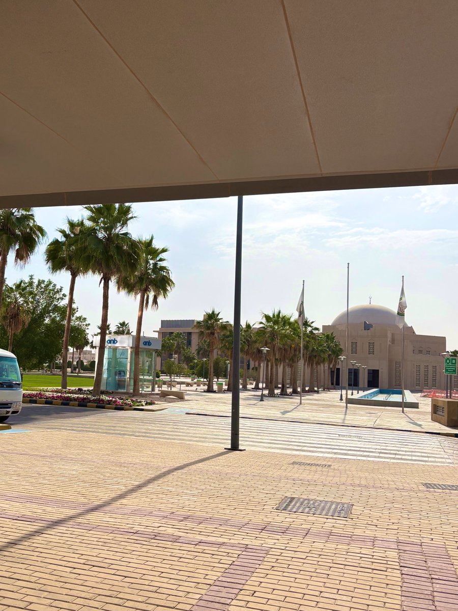 ريهام tweet media