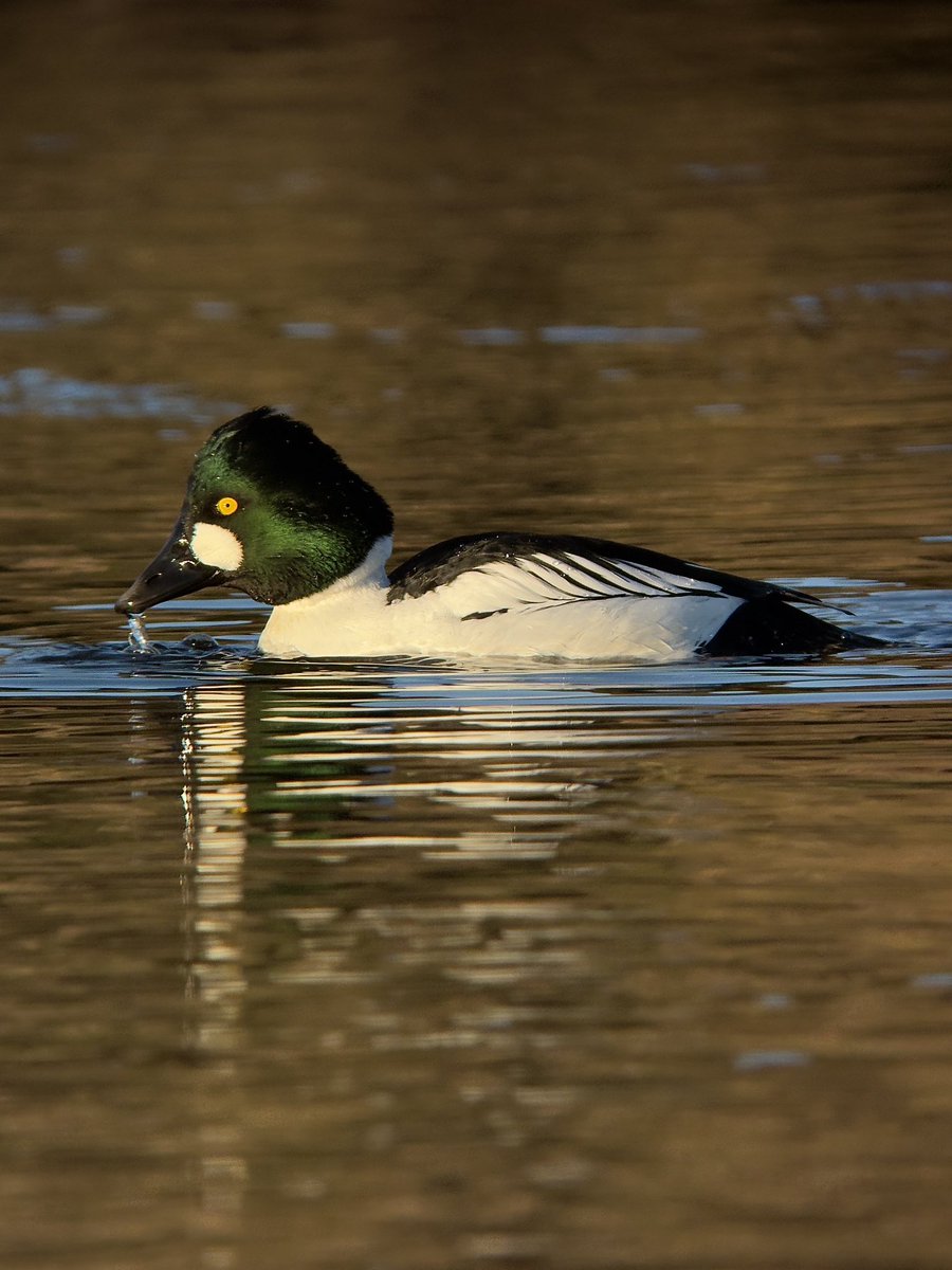 Paul Hackett tweet media