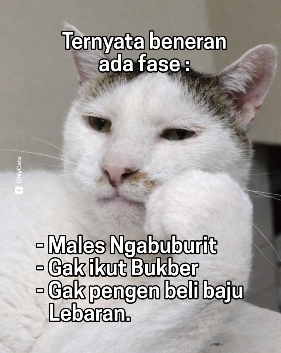 KucengTerbanggg's tweet photo. https://t.co/R6LFxvftIj