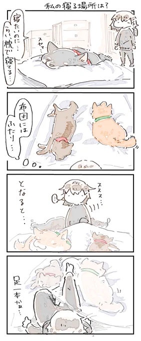 私の寝る場所は? 