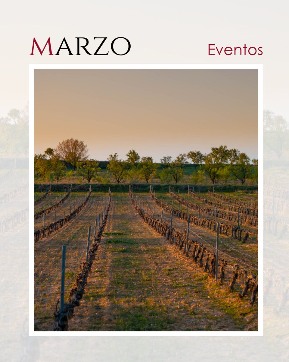 Ribera Del Duero tweet media