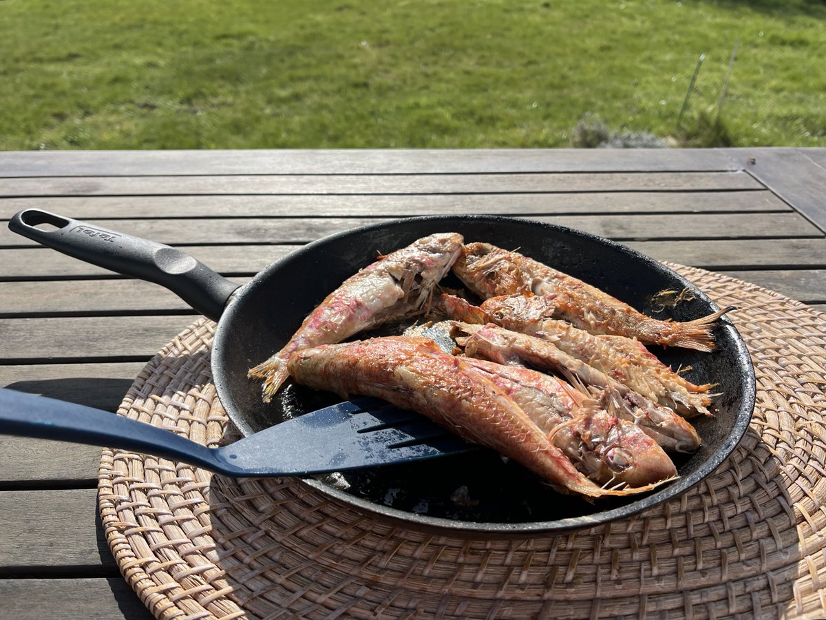 François de Coustin tweet media