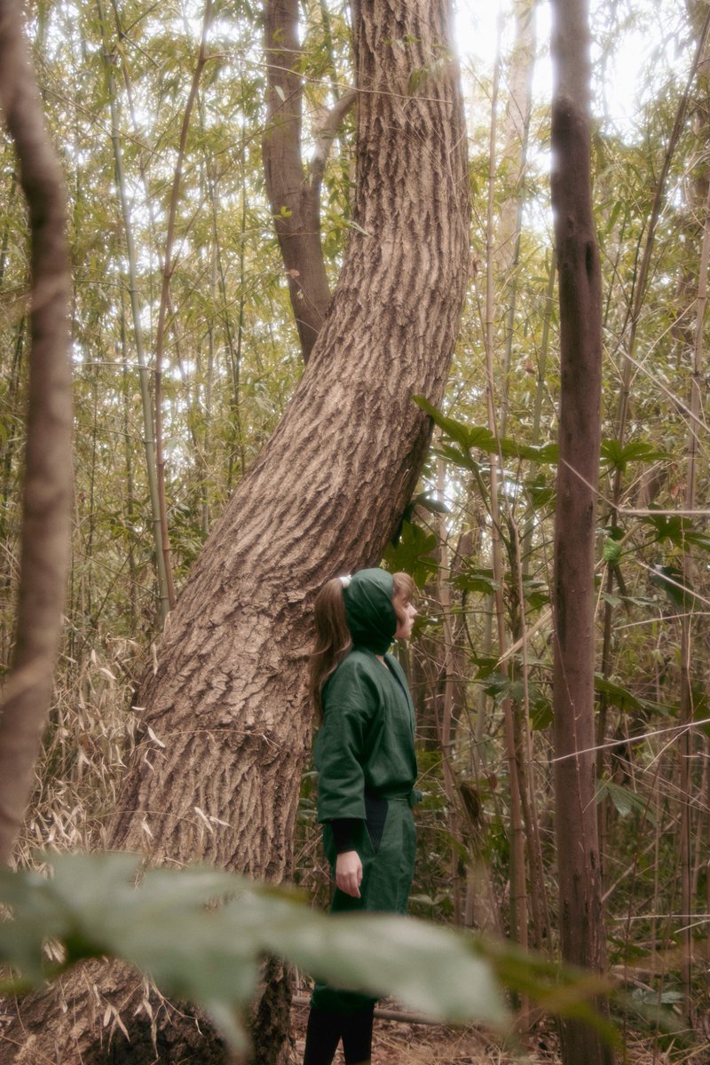 𝙎𝙊𝙉𝘼. tweet media