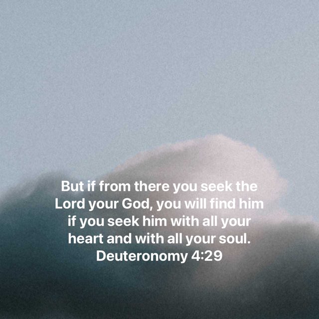 What an extraordinary promise of God. Whatever circumstance we might find ourselves in, wherever we might be, we can seek God from there. He promises to be found when we seek him with all our heart and soul. 

Today is a good day to seek Him!