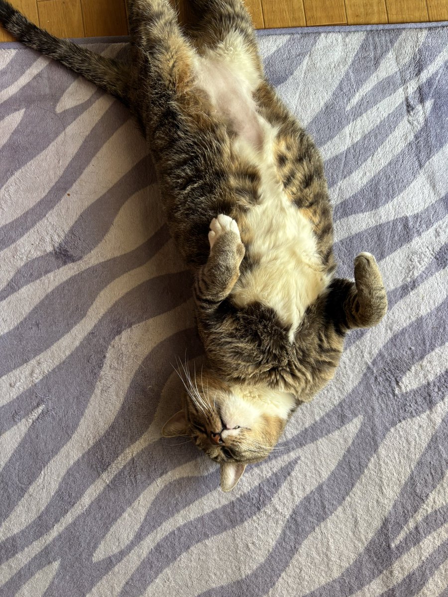 つくね (@X_Z_ZX_ZXA) on X