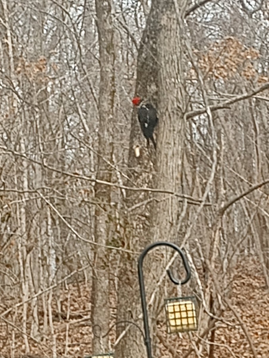 Farm Boy tweet media