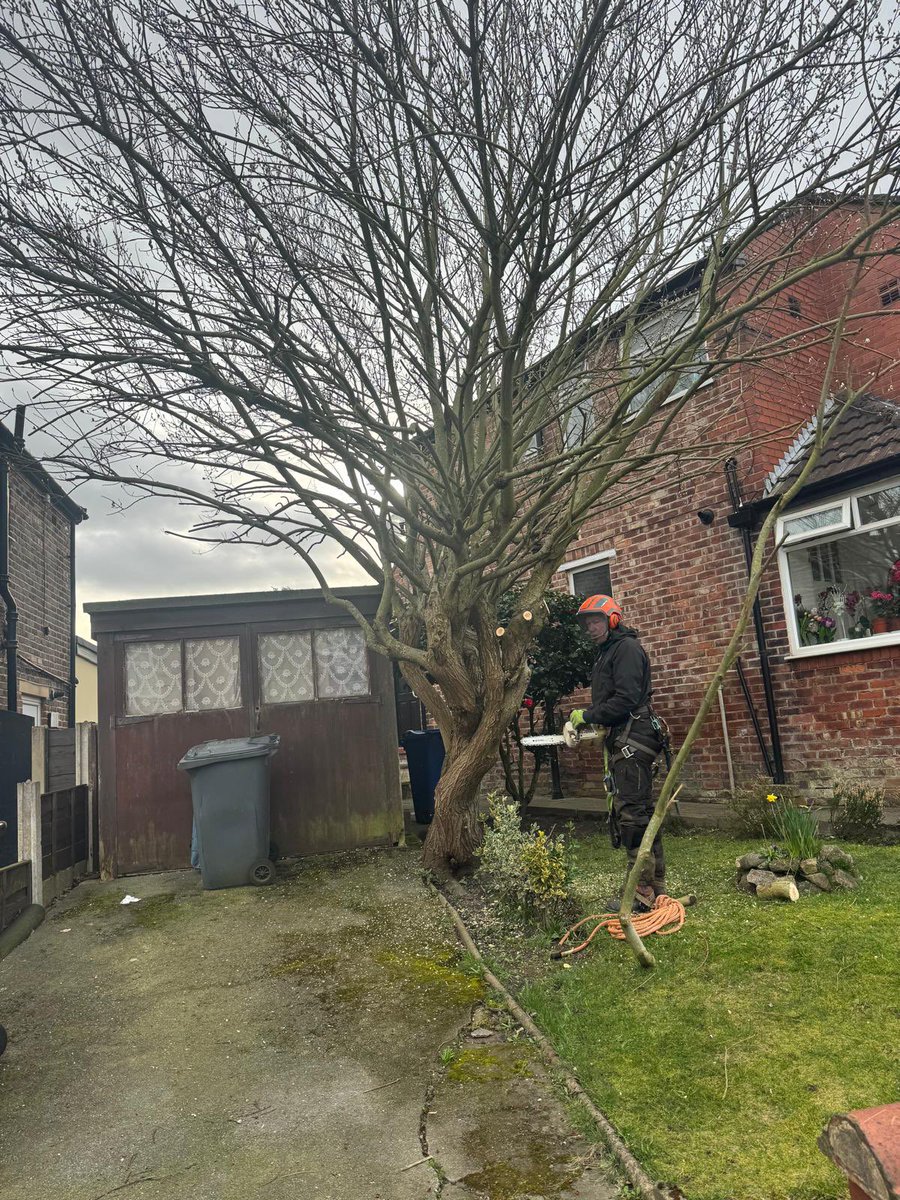 ArielTreeCare's tweet photo. Willow pollard to allow access to garage and clear phone lines.

#arieltreecare #boltontreesurgeon #localtreesurgeon #hedgetrimming #treepruning #professional #qualifiedtreesurgeon #treeservices #treecare 

https://t.co/52nBMrOpvO https://t.co/kFSPVya0Rj