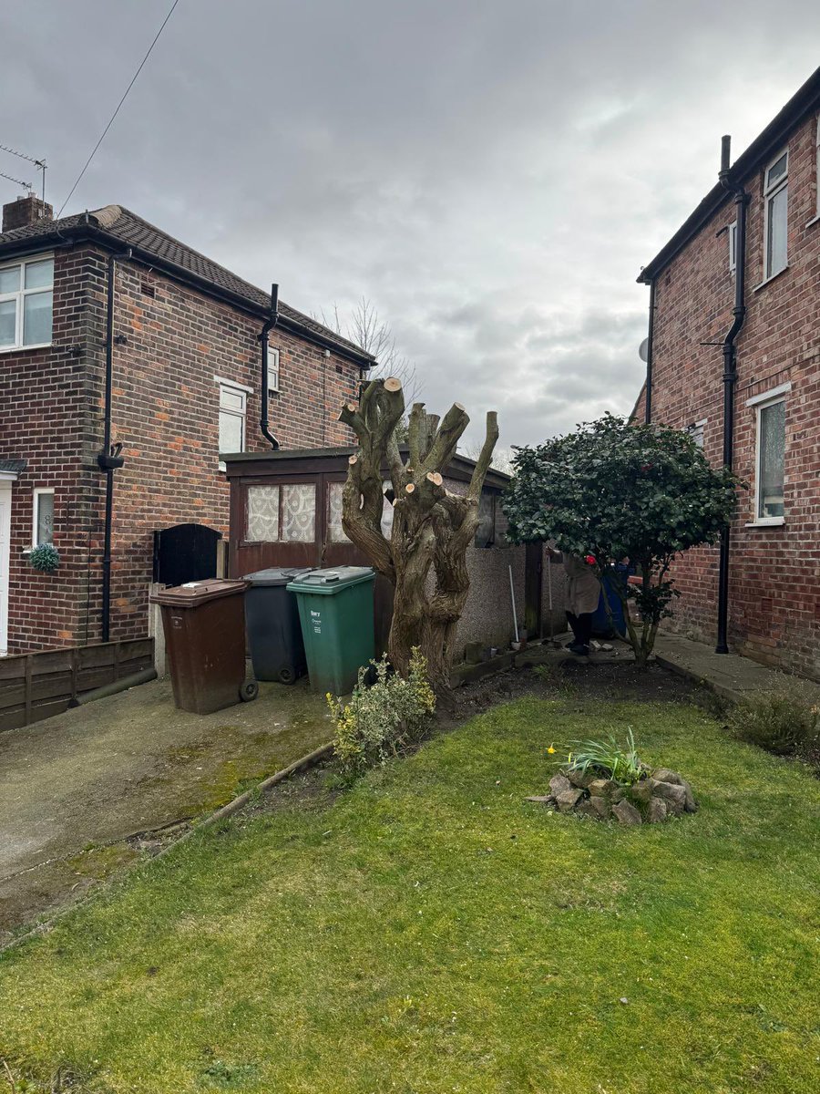 ArielTreeCare's tweet photo. Willow pollard to allow access to garage and clear phone lines.

#arieltreecare #boltontreesurgeon #localtreesurgeon #hedgetrimming #treepruning #professional #qualifiedtreesurgeon #treeservices #treecare 

https://t.co/52nBMrOpvO https://t.co/kFSPVya0Rj