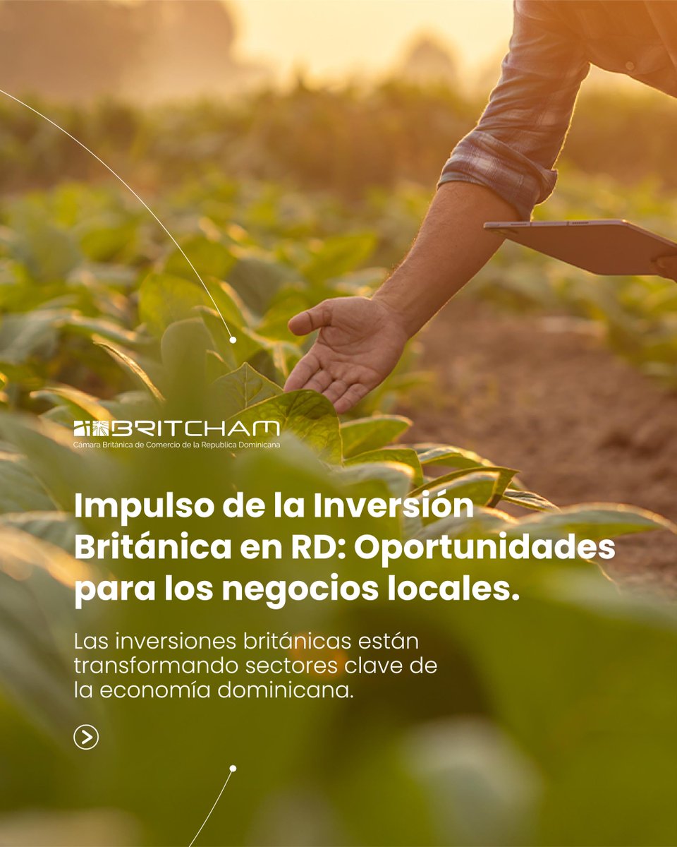 BritchamDR tweet media