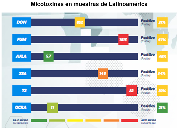 ValorCarne tweet media