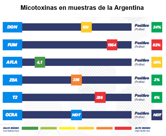 ValorCarne tweet media