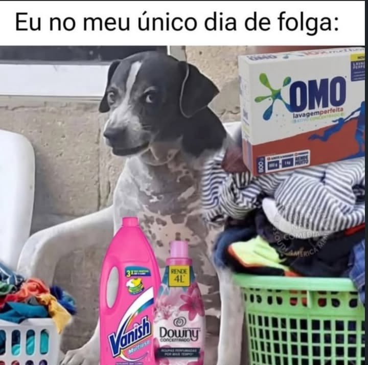 Pagina lixo (@paginalixo1) on Twitter photo 
