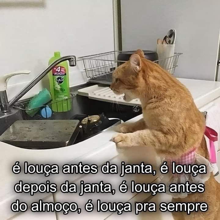 Pagina lixo (@paginalixo1) on Twitter photo 