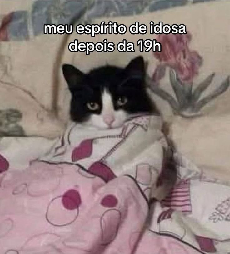 Pagina lixo (@paginalixo1) on Twitter photo 